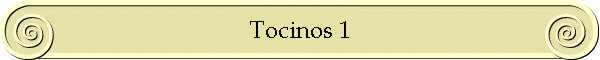 Tocinos 1